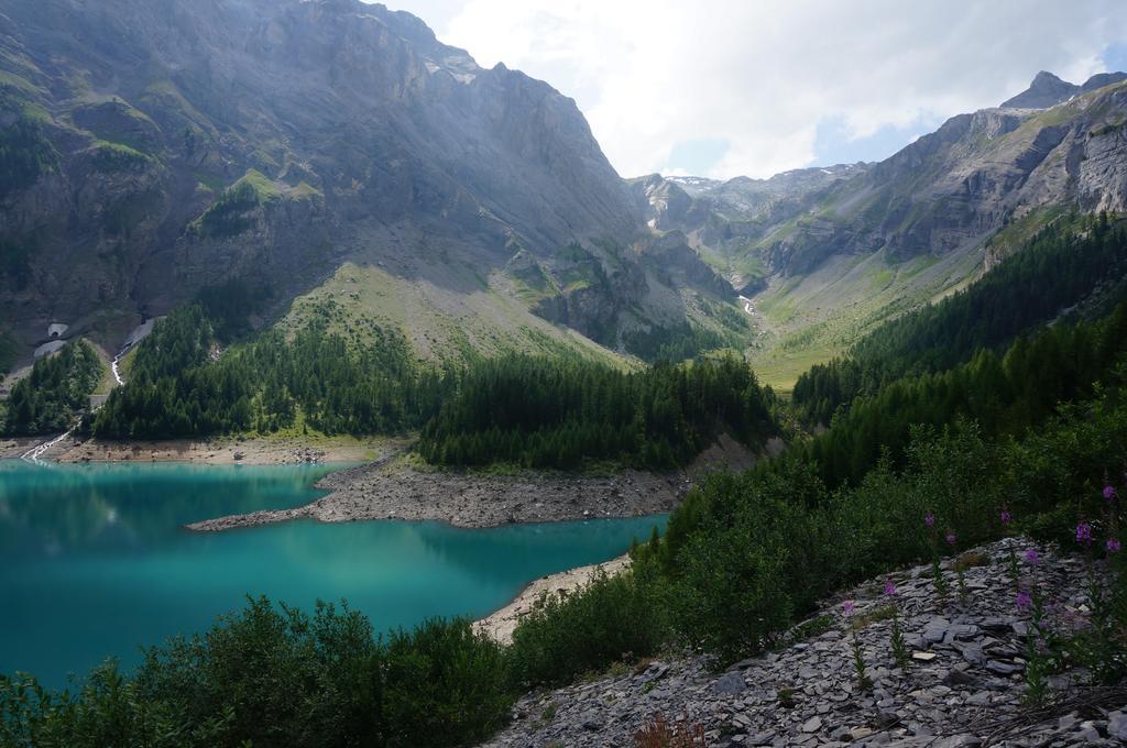 Bnb Valais - By La Sittelle Grimisuat Eksteriør billede